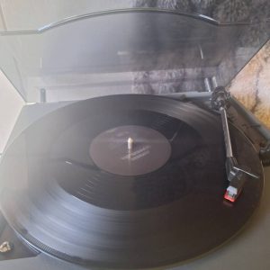 Rammstein - pussy. 12" vinyyli/lp sinkku 2009. numeroitu 978/2000