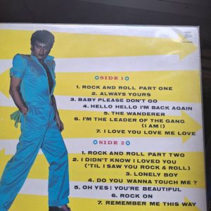 Gary Glitter - The Leader 1984. Vinyyli/lp (VG+)